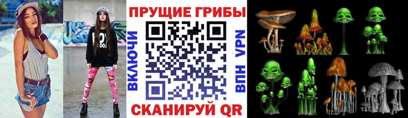 Галлюциногенные грибы Magic Shrooms  Старый Оскол 